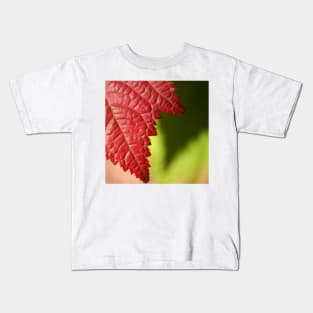 Red Leaf Lines Kids T-Shirt